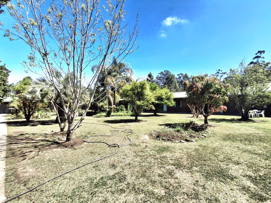 Commercial Property for Sale in Summerpride Eastern Cape